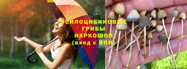 2c-b Пролетарск
