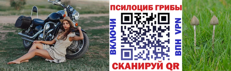 блэк спрут ссылка цены наркотик Всеволожск Псилоцибиновые грибы Psilocybine cubensis