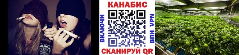 Шишки марихуана Amnesia Всеволожск